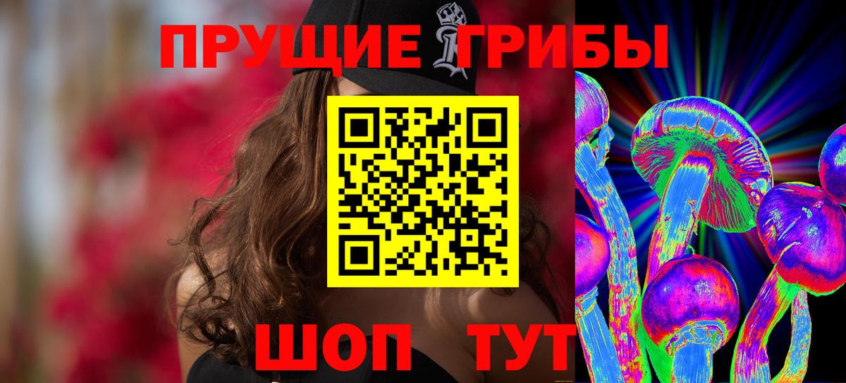 Псилоцибиновые грибы Magic Shrooms  Псилоцибиновые грибы мицелий  Вход с VPN  где купить   Елец 